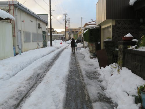雪道を歩く