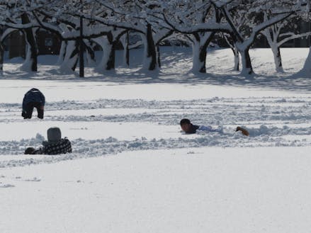 雪原で遊ぶ子どもたち