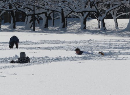 雪原で遊ぶ子どもたち