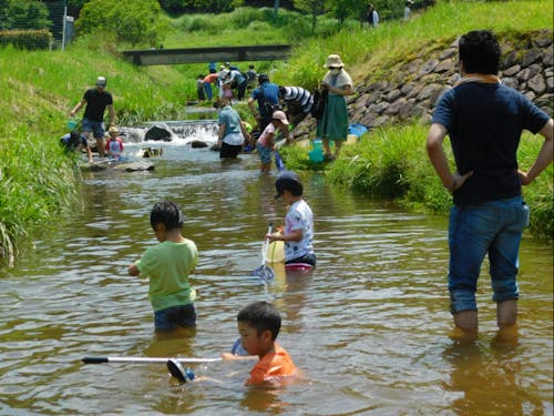 若い世代や子どもたちに自然に親しみを感じてもらう川遊びイベント