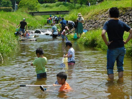 若い世代や子どもたちに自然に親しみを感じてもらう川遊びイベント