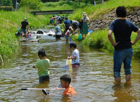 若い世代や子どもたちに自然に親しみを感じてもらう川遊びイベント