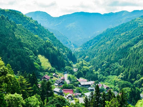 檜原村では、こんな雄大な景色が日常の一部です