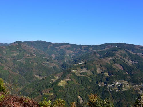 針葉樹や広葉樹が混じるモザイク林相