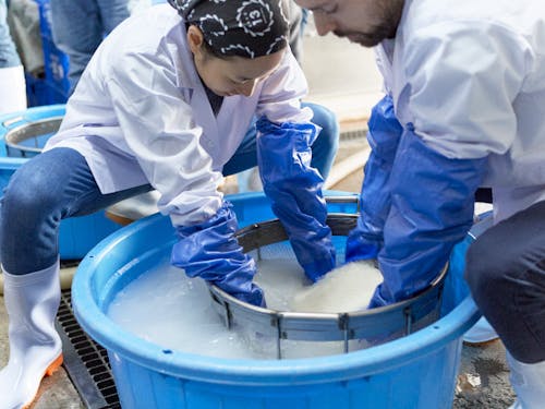 洗米作業の様子