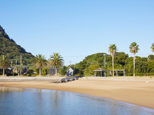 島は自然がいっぱいです