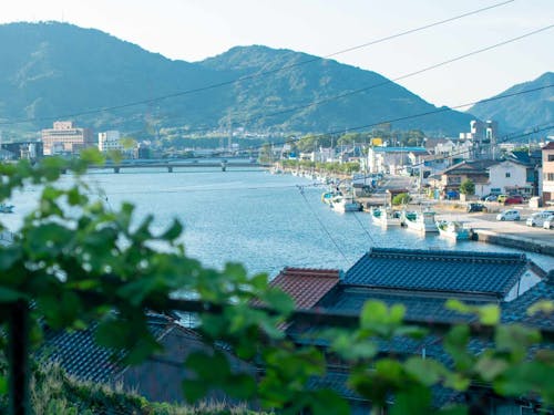 鶴島邸からの風景