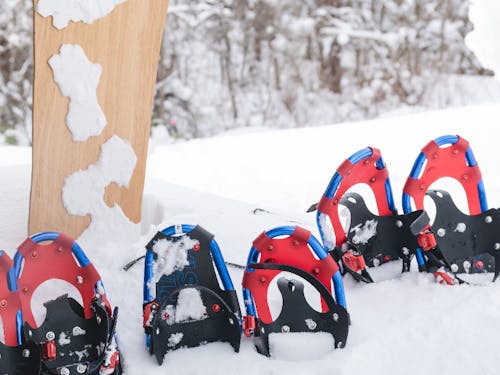 冬は雪もたくさん降る地域です。冬のアクティビティも楽しめます!