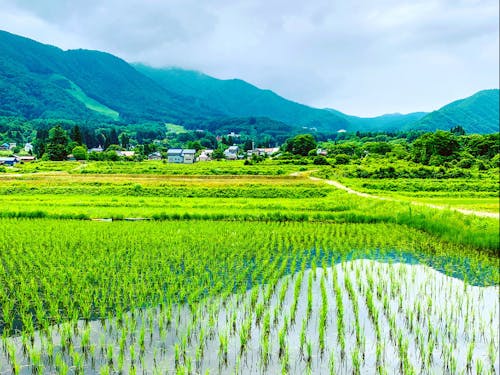 豊かな里山もあります