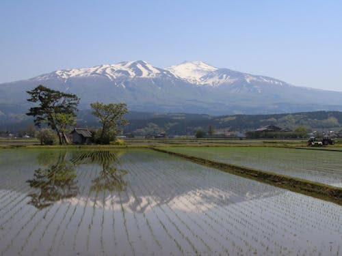 風景も味も極上の遊佐米は水の恵みの最たる例です