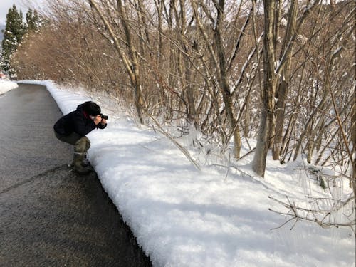 ヨソモノ視点でゆざまちを切り取り、発信します。雪の景色は寒いけど最高!