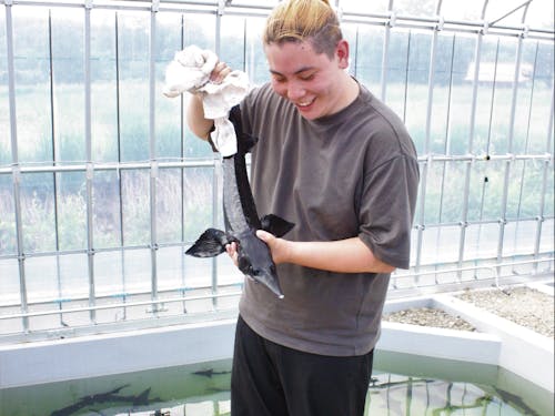 自分が育てたチョウザメ