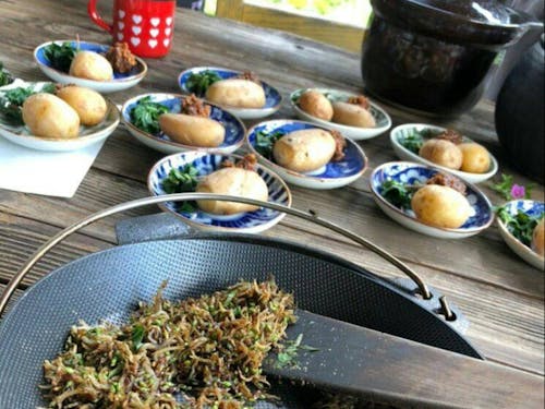 白木美和さん、野草を使った料理教室