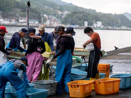 尾鷲港で水揚げする漁師さんと受け入れる漁協職員