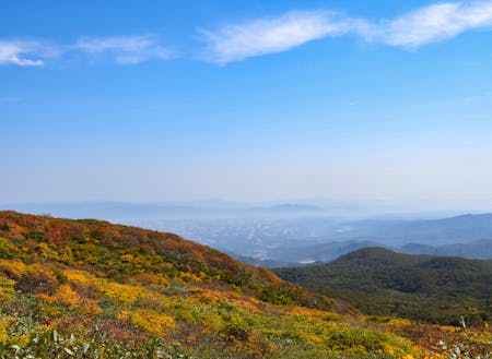 岩手県から秋田県へまたがる焼石連峰もあり、自然いっぱいの環境