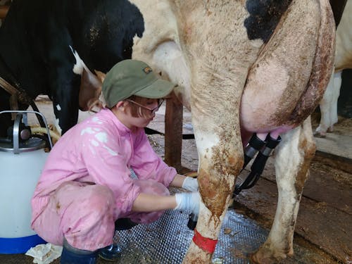 派遣先例:発災直後、孤立・断水のなか牛の世話を続けた牧場