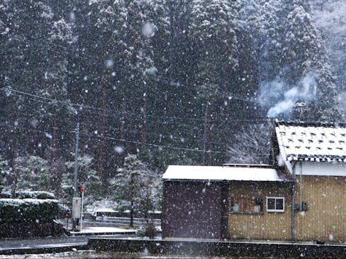 雪の様子：里山