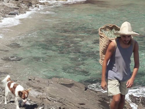 「ハッピー・リトル・アイランド 」写真(©️ANEMON)