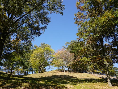 子育てファミリーには、市内の遊べる公園をご紹介!