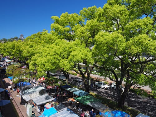 300年の歴史が息づく街路市で、気軽に買い物できる暮らしも!