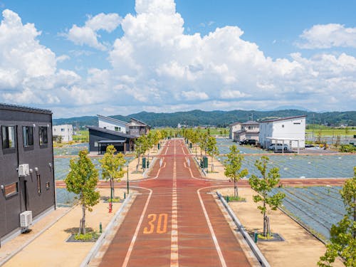 ウエルネスタウンみつけメイン道路