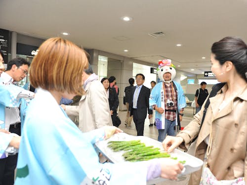旭川空港で特産品のアスパラを、空港到着客にふるまうイベント