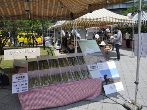 毎年東京で行っているマルシェでのアスパラ販売の様子