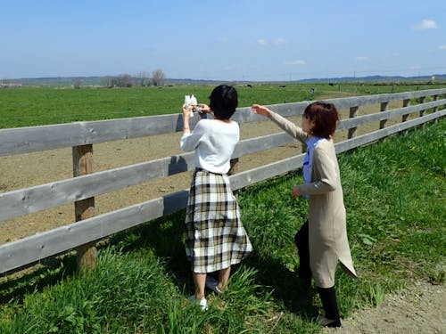 ヨソ者視点での情報発信