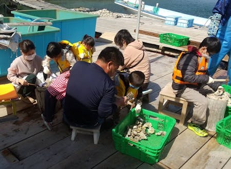地元小学生との漁業体験