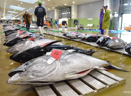 日本有数の水揚げ量を誇る銚子漁港