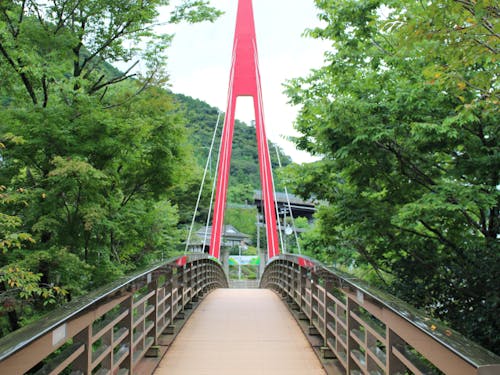 大人気の道の駅霧の森は今年25周年!