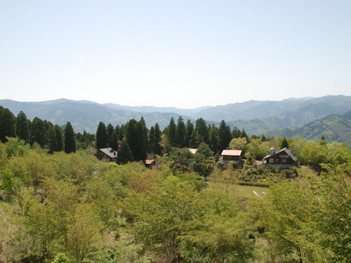 標高約800mのキャンプ場