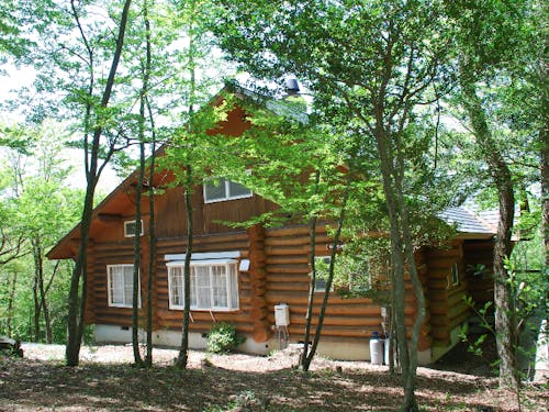 森の中の宿泊棟