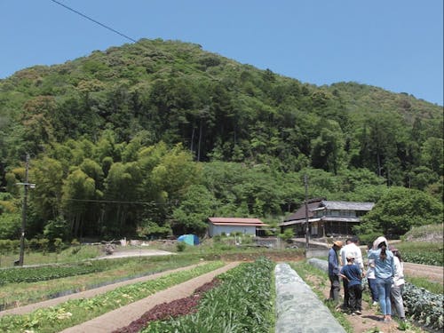恵まれた気候で野菜の栽培も盛んです
