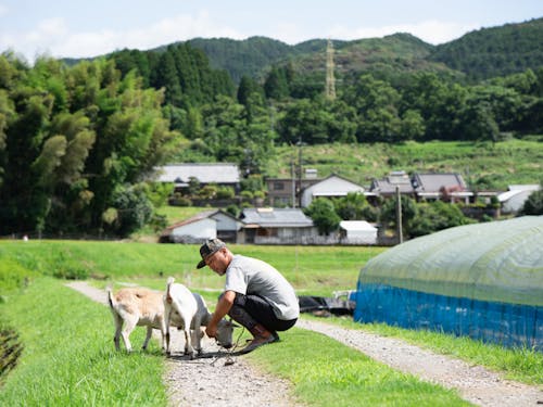 のどかな風景と、まち機能がコンパクトにまとまった「ちょうどいい田舎」