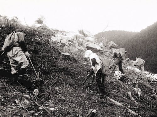 昭和時代の植栽風景（西予市内）