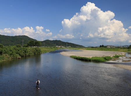 琵琶湖に流入する最大河川の野洲川が市内真ん中に流れています！