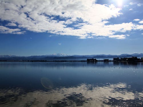 柴山潟を含めた田園地帯は、水鳥の飛来地。