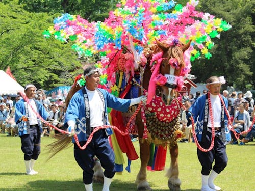 三股町のまつりに欠かせないのが『ジャンカン馬』。華やかに着飾った踊り馬が、豊作と無病息災の祈りを込め、“ジャンカ、ジャンカ”と地を踏みしめ鈴を鳴らします。