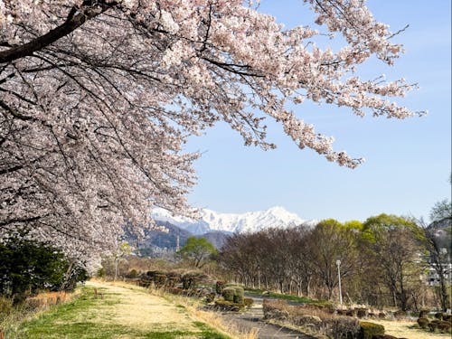 町の事業を担いながら、地域に繋がろう。