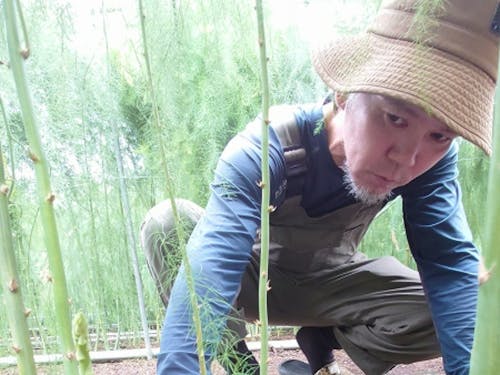 アスパラを栽培する先輩移住者