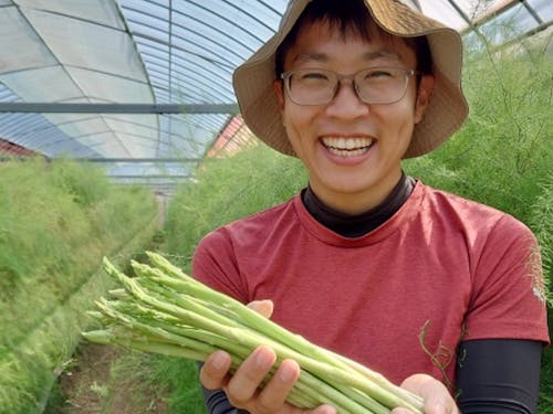 平戸市でアスパラガスを栽培する先輩移住者