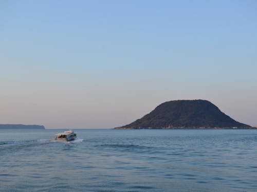 島は自然がいっぱいです