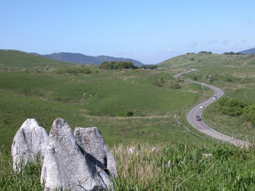 特別天然記念物 秋吉台