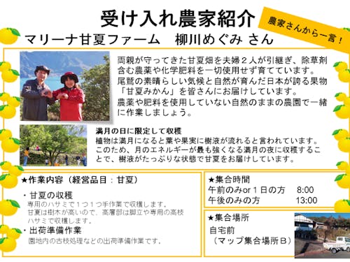 マリーナ甘夏ファーム(柳川 めぐみさん)