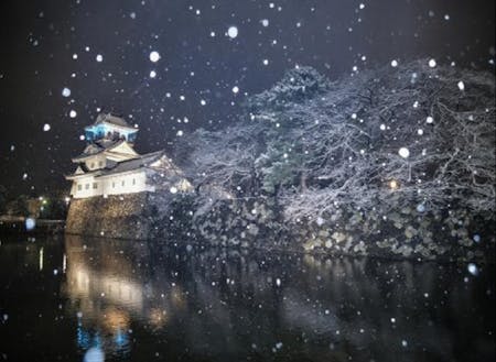 雪降る富山城(富山市)