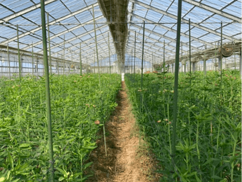 夜は満点の星空が!