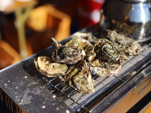 能登の牡蠣。塩分濃度が高く、濃厚な風味とプリプリした食感が特徴的。