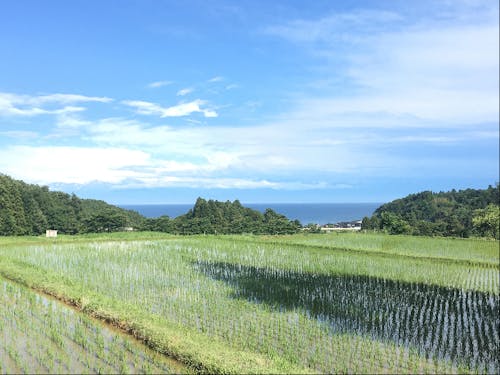 海と田んぼが一面に広がり、見渡すことができる能登半島