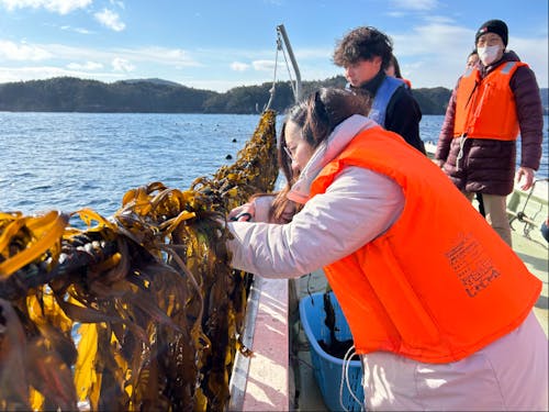 休日は漁業や農業のお手伝いをしたり。綺麗な図書館でまったりする日も。